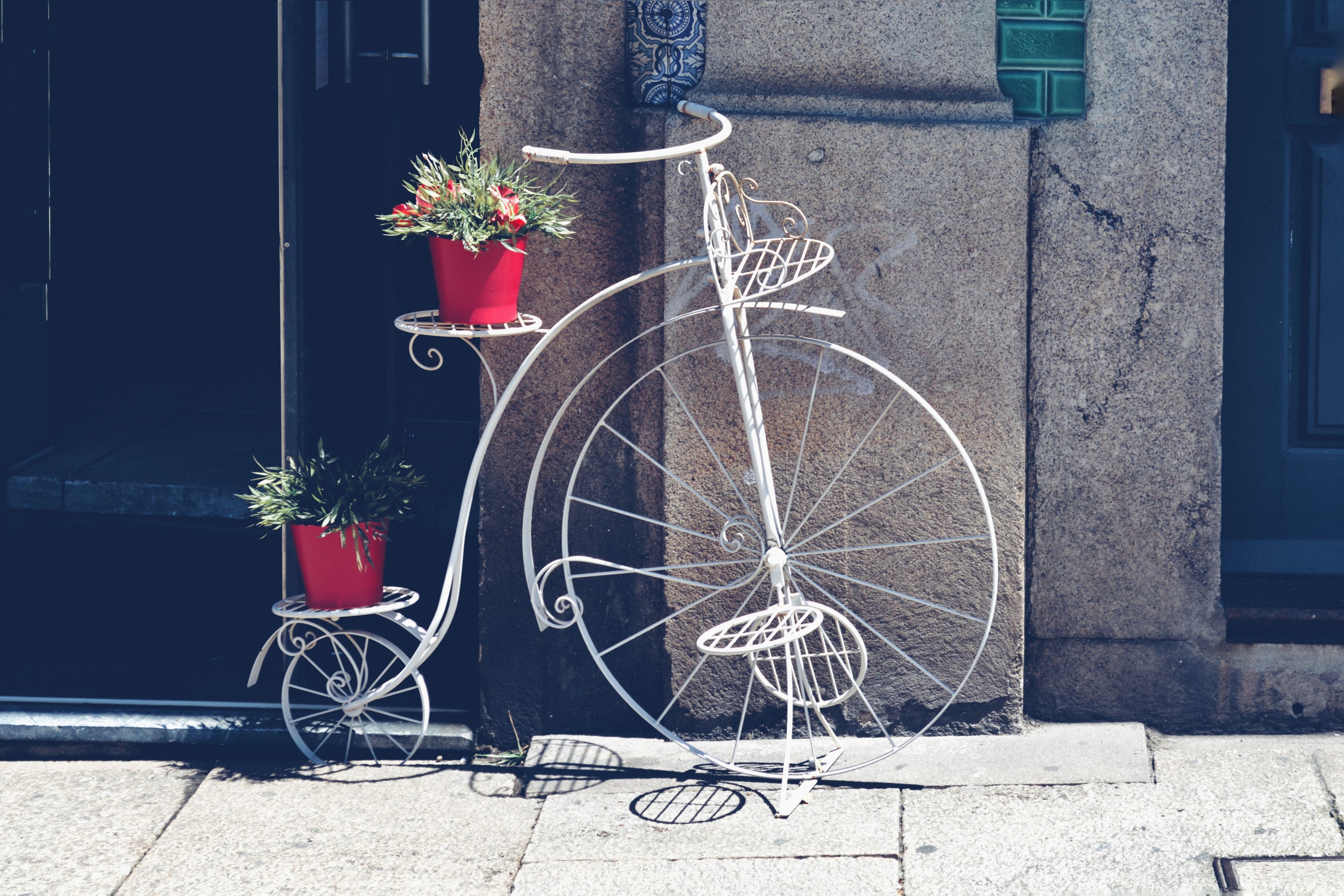 Basil and seagulls visit Porto with us 