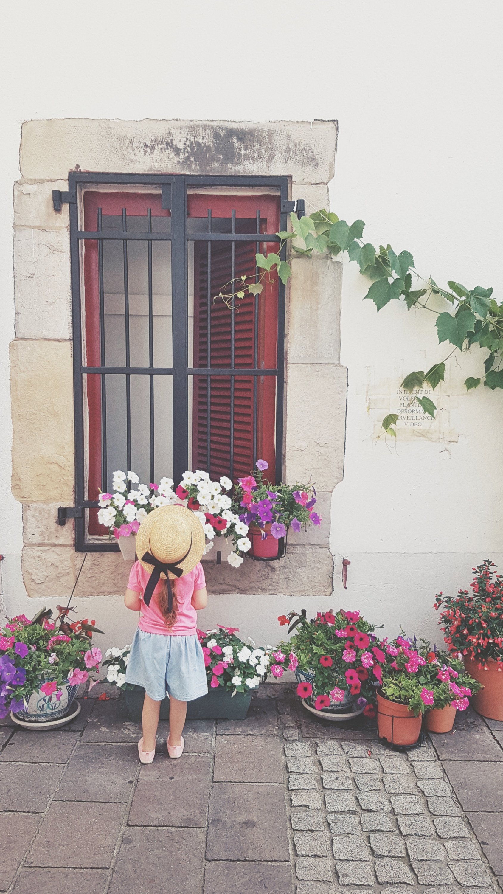 Basque country photos