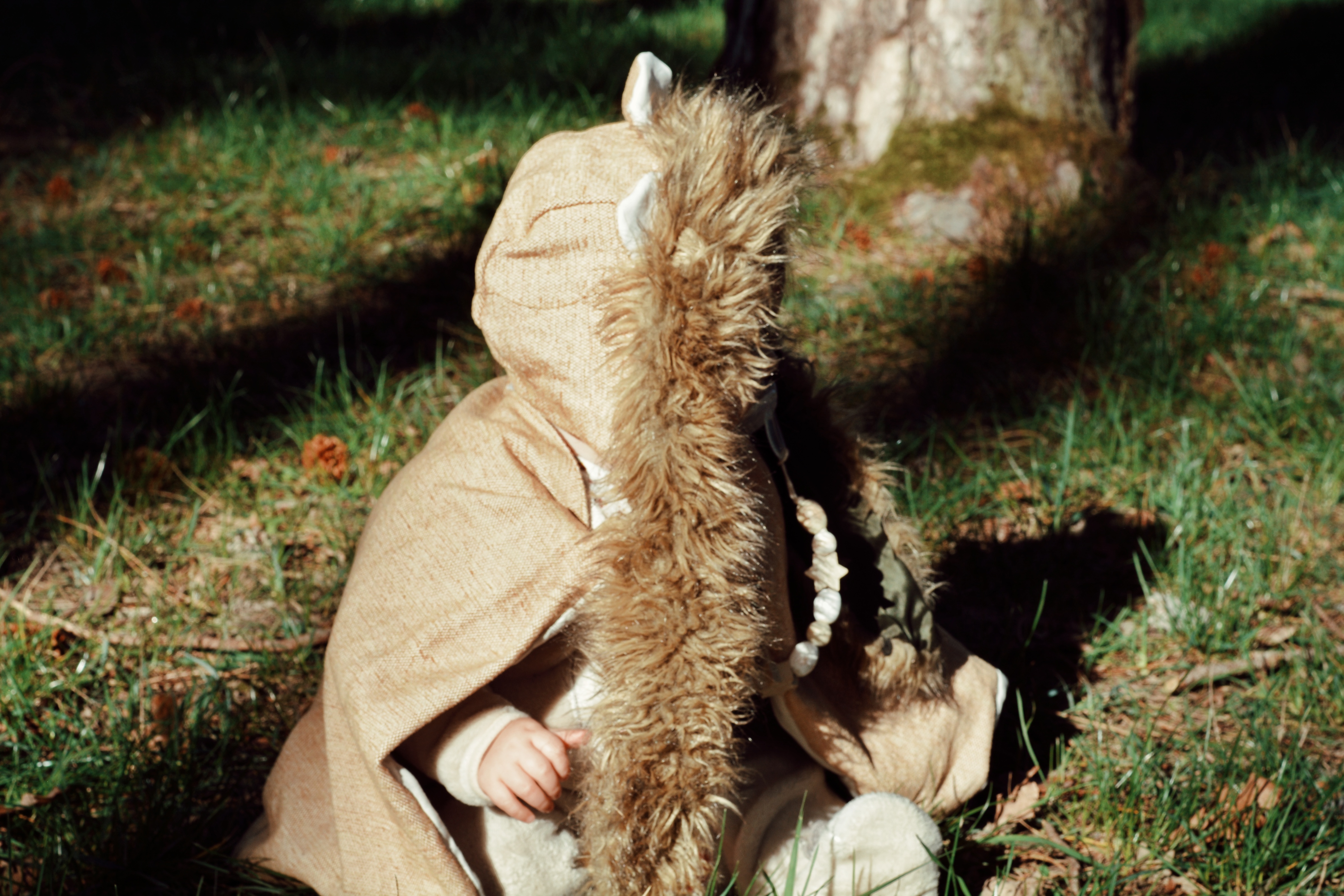 Upcycled lion costume