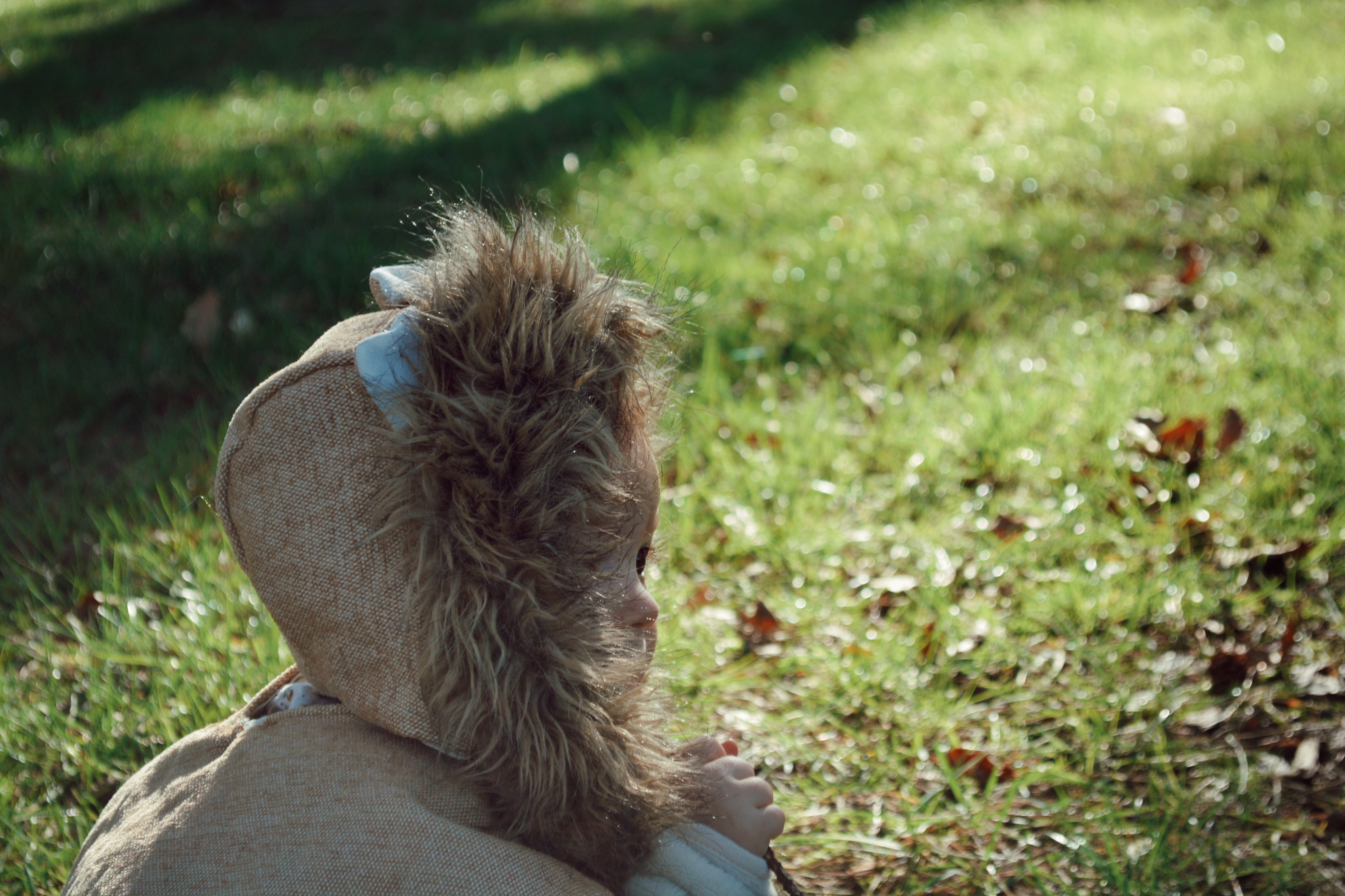Upcycled lion costume