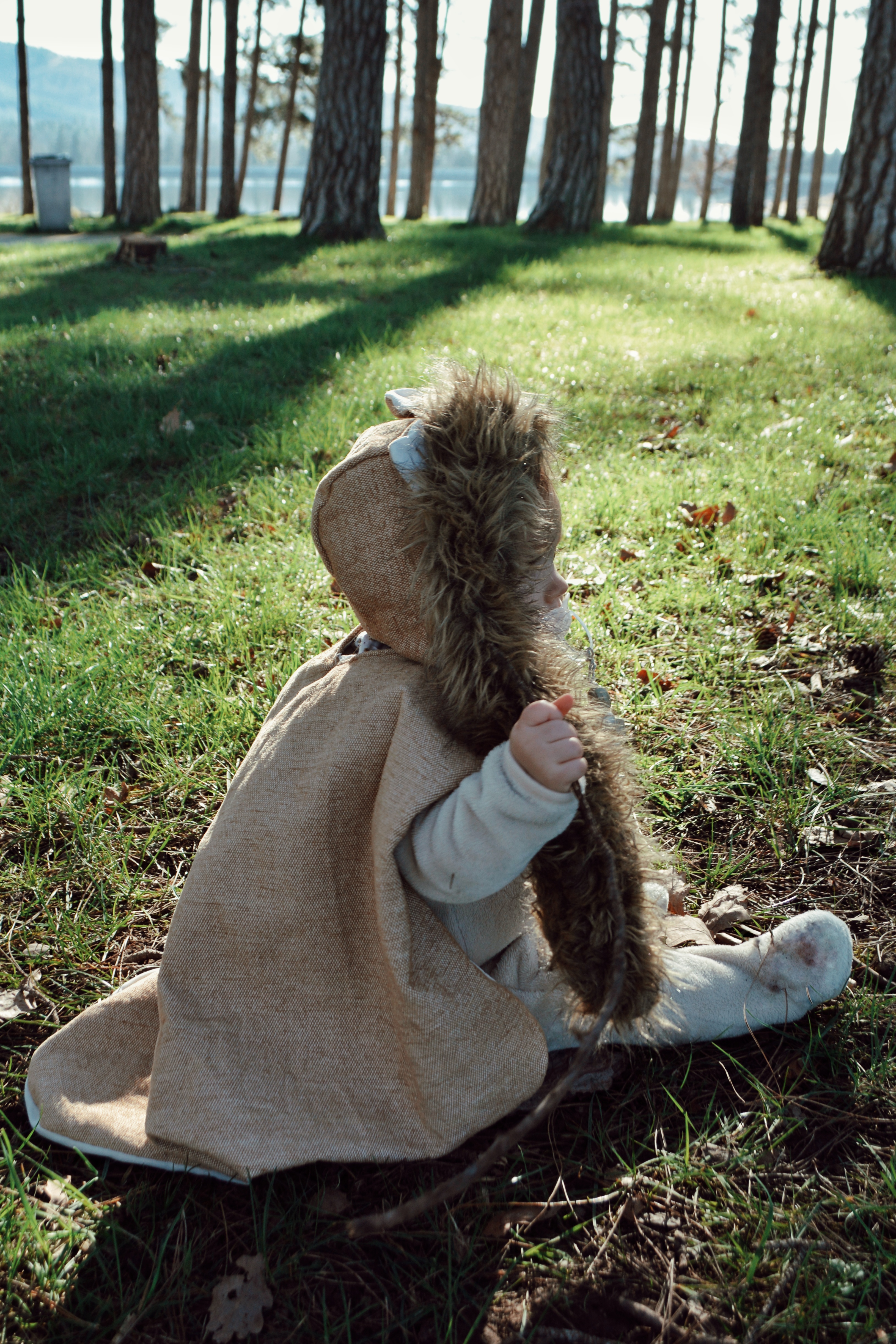 Upcycled lion costume