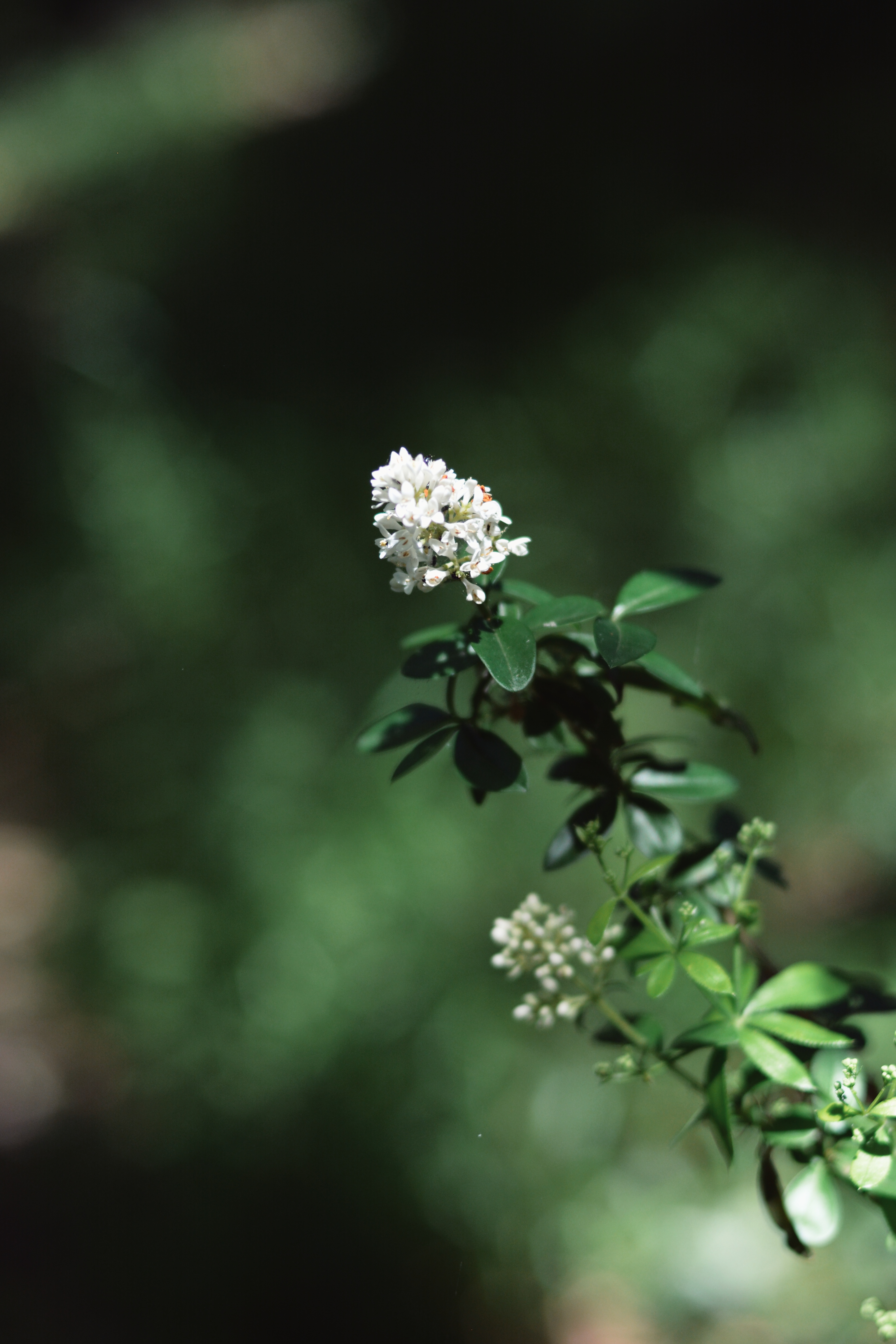Nature photography