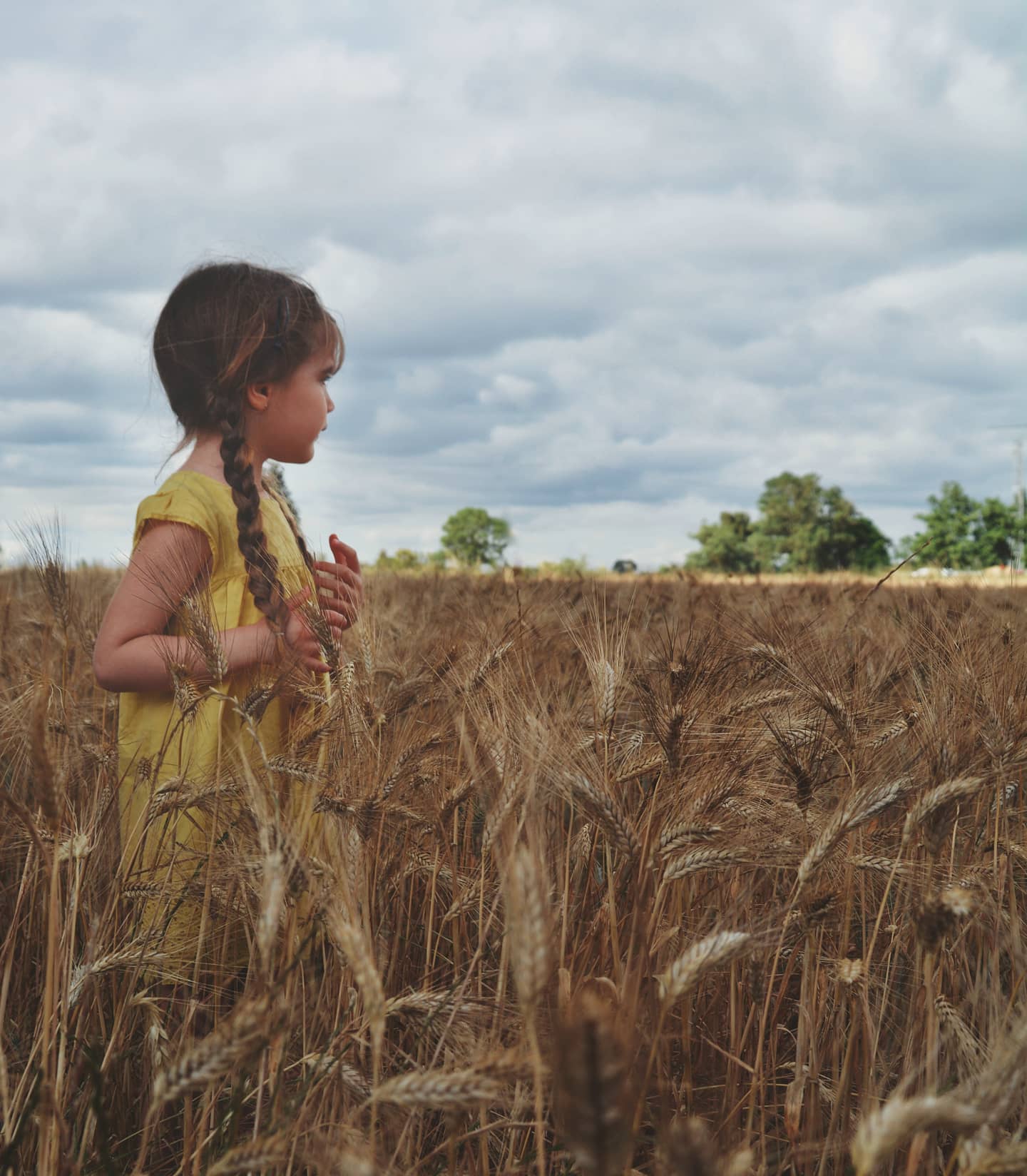 Learning through nature