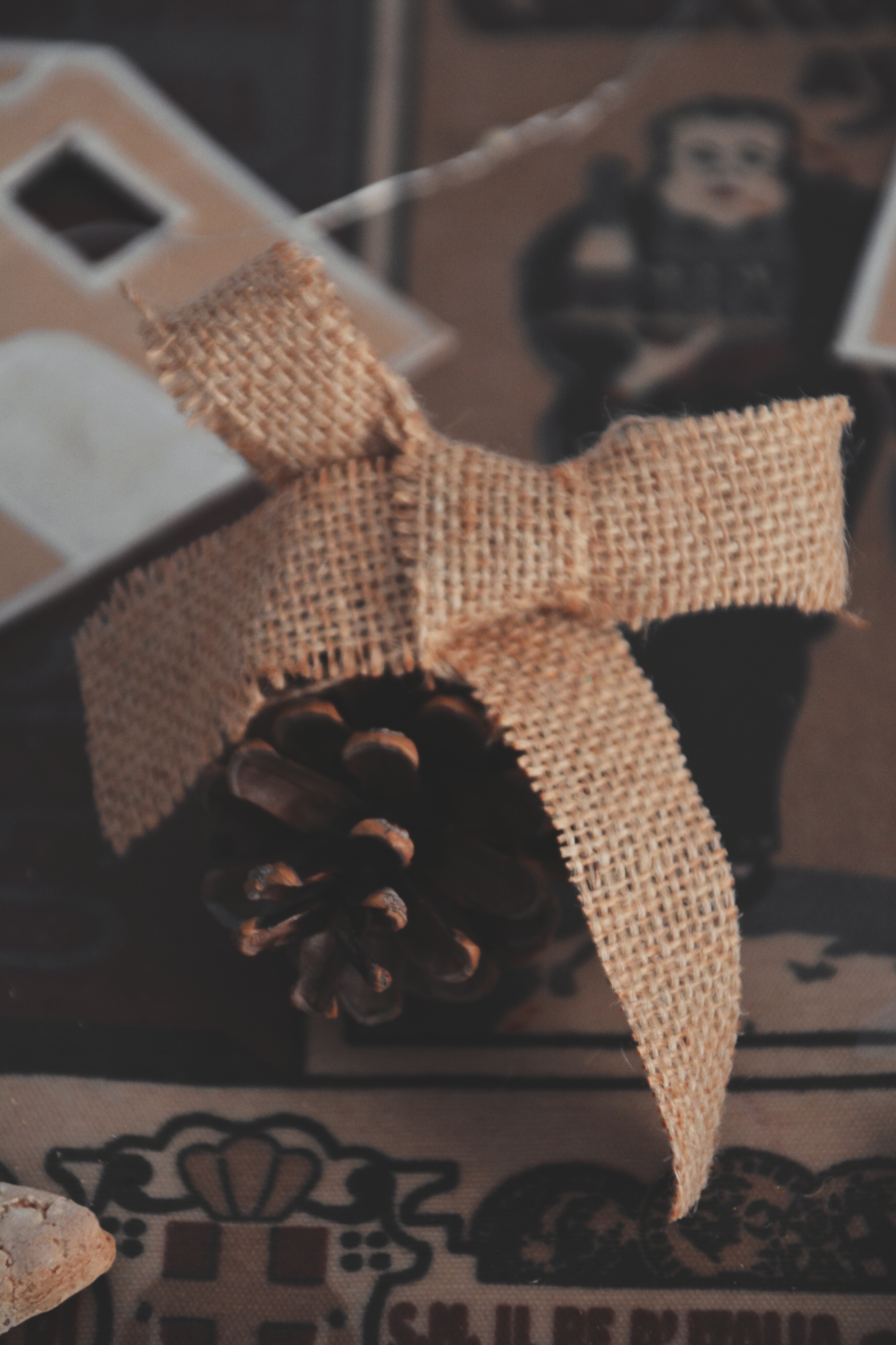 Pinecones crafts