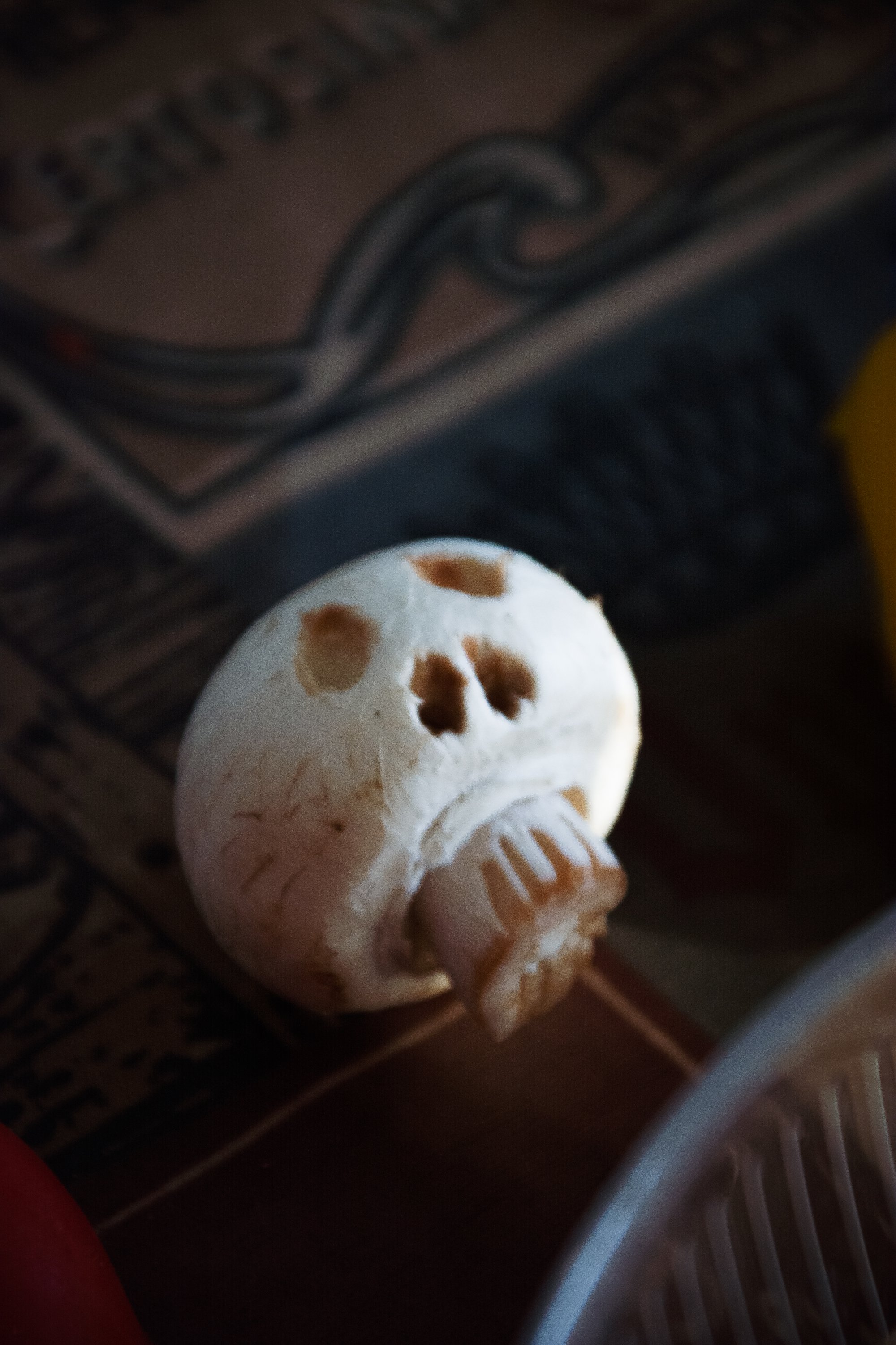 Mushroom skulls