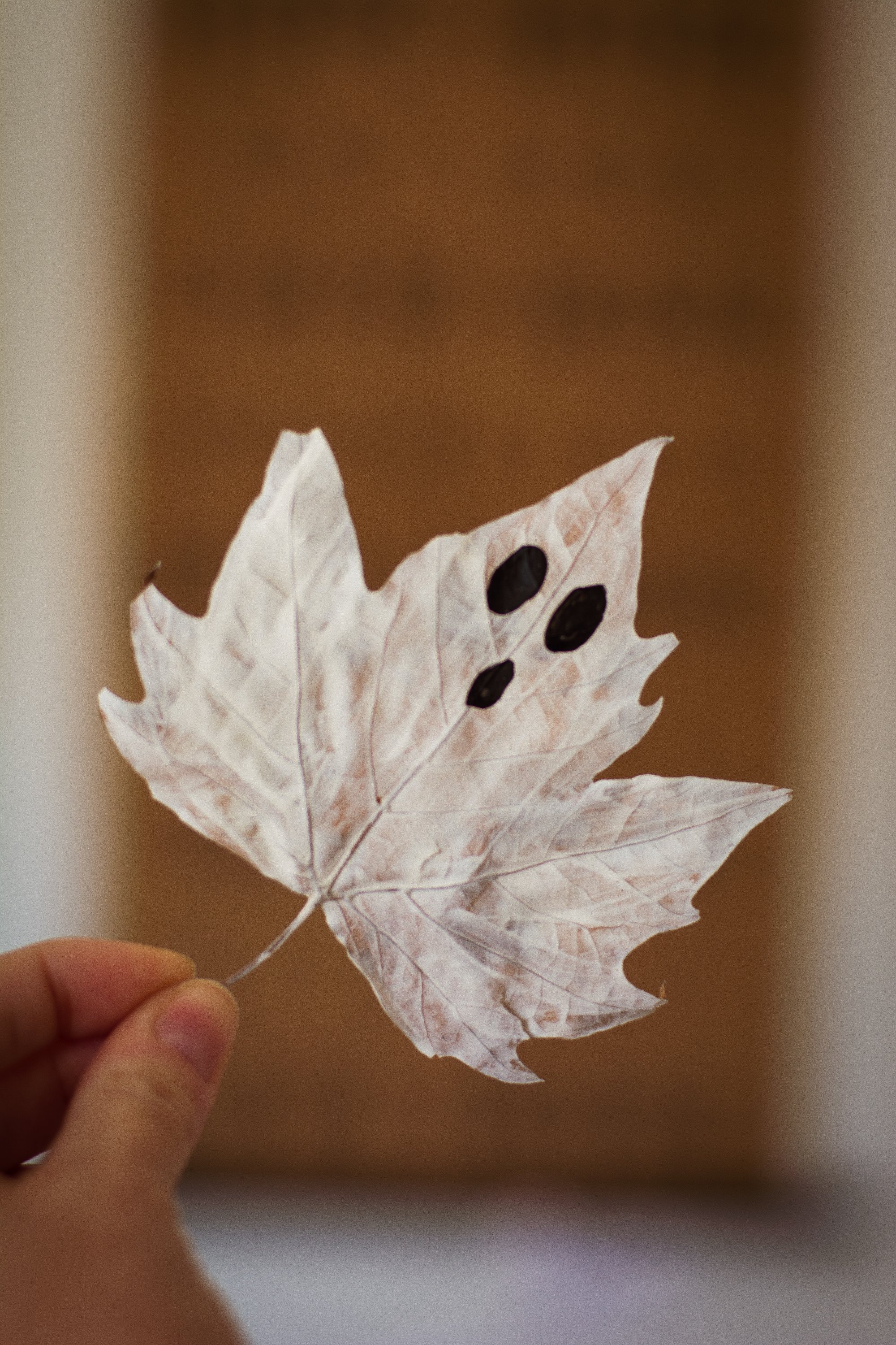 Halloween crafts with autumn leaves