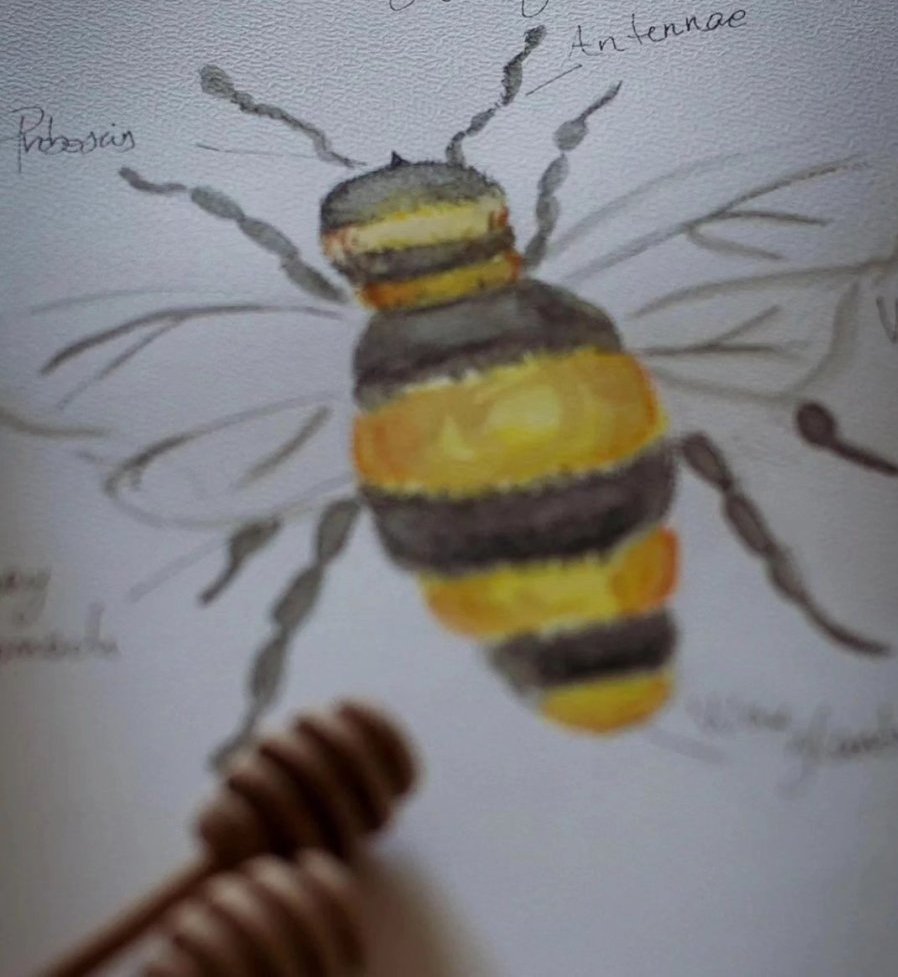 Watercolor bee