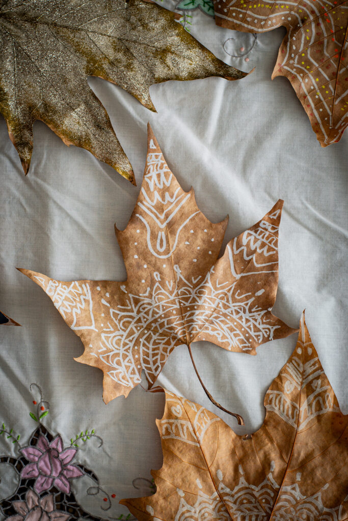Mandala autumn leaves