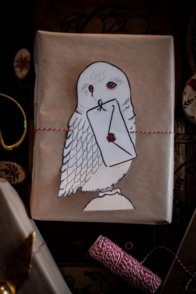 Harry Potter wrapping gift idea
